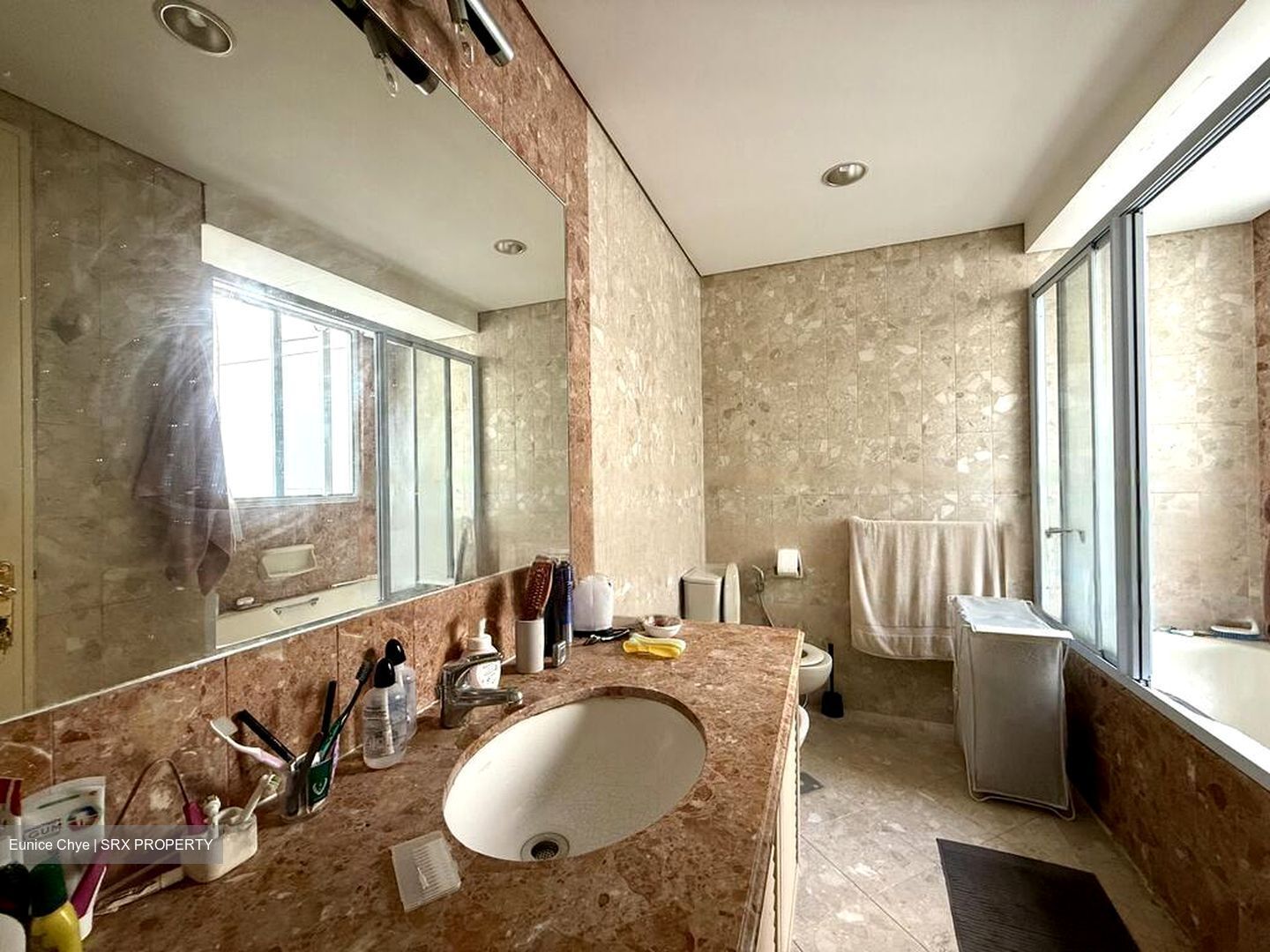 Chancery Park (D11), Condominium #486523641